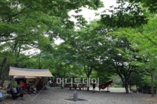 삼림·온천·해수 3욕(浴) 시름 씻고 가네