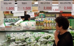 [사진]망설여지는 채소값