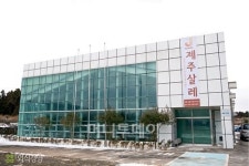 청정지역 제주도에서 나는 믿고 먹을 수 있는 농·수·축산물