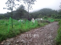 서울에서 30분대, 북한강 조망토지 5만원대 매각 !! 정남향, 국도에서 진입가능 1필지 1450만원부터