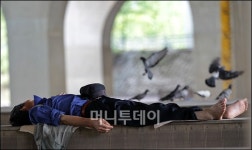 [사진]다리밑의 오수