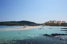 제주 속살 느껴 볼까?…대명리조트 삼색 트레킹