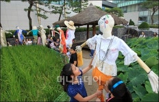 [사진]허수아비야 풍년을 부탁해~