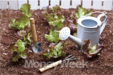 이번 연휴엔 삽을 들자