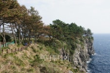 올레길 흥 돋우고, 전통시장선 덤 오가고