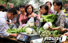 中 이동식 농산물직판장 인기
