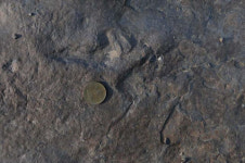 진주 화석산지 천연기념물 지정