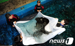 [사진]들기도 힘들네