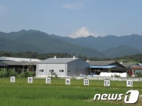 영천 농산물, 친환경 명품농산물로 대변신