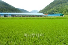 소 키우던 농부가 사장이 된 사연