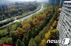 강남구, 양재천 주변 ‘낙엽의 거리’ 운영
