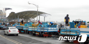 아침 여는 죽도어시장