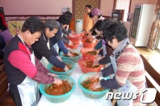 순천 별량 개랭이 고들빼기 마을 주목