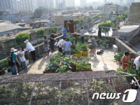 생활녹화 경진대회 대상 문래도시텃밭 공동체