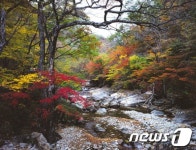 지리산 단풍, 이번 주말 절정...만추, 만끽하세요