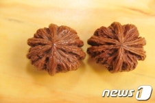 전남 장흥군, 육각 귀족호도 아시나요