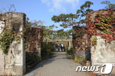 가을에 사진찍기…한강공원 BEST 10