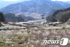 순천 향매실마을 전국우수체험마을 후보 올라