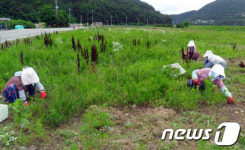 영덕 지품면 어르신들의 손주 사랑