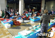 포항죽도어시장 50년만에 몸단장