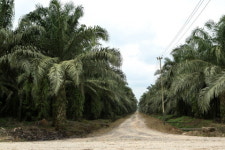 삼성물산, 신재생에너지사업 속도 낸다