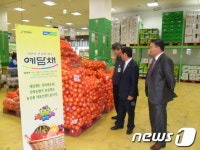전북농협, 김장철 맞아 예담채 양파 공동브랜드로 수도권 공략