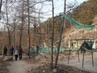 노원구, 동호회와의 협의로 무허가 배드민턴장 철거