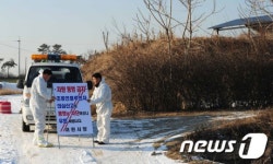 [사진]이천 AI 의심 오리농장 출입금지