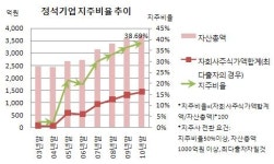 주식회사 대한동방관광그룹(株式會社 大韓東方觀光集團) | [더벨]정석기업, 지주사 전환요건 '턱밑' 올해는?