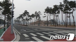 서해안고속道 고창나들목에 명품 소나무길