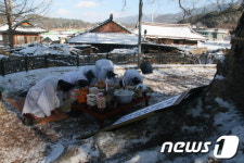 남원 진기리 느티나무 당산제