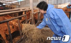 [사진]여물 주는 한명숙 대표
