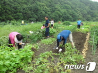 하이서울 친환경농장 13곳 새해 분양신청