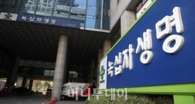 현대차그룹, 200억 부담금 내고 녹십자생명 인수