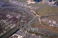 시흥갯벌, 습지보호지역 지정