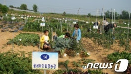 익산시 농업기술센터, 주말가족농장 분양