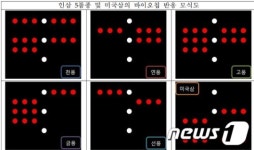 농진청, 인삼 품종 판별하는 ‘바이오칩’ 개발