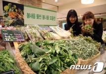[사진] 광주신세계, 봄내음 물씬 봄나물 모음전