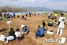 전남 장성군, 주말 텃밭농장 선착순 분양
