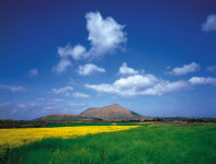 홀로 떠나는 색(色) 다른 제주 여행