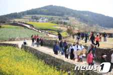 슬로시티 완도 청산도, 4월1일부터 슬로우걷기 축제