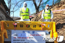 AI 양성반응 농장 진출입로 철통 봉쇄