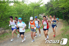 울산서 전국 '건각'들의 마라톤 축제 열린다
