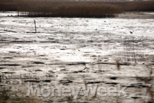 꼼장어 쐬주에 바다도 취한다