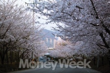 꼼장어 쐬주에 바다도 취한다