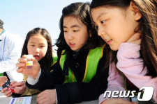 [사진]우리 동네 양재천은