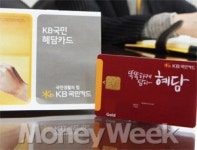 혜택 多 담으려면 연회비가…