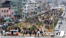 [사진]폐철로가 푸른녹지로