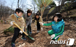 [사진]조선왕릉 나무심기 체험하는 시민들