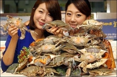 [사진]롯데마트, 알 꽉찬 봄철 암꽃게 맛보세요